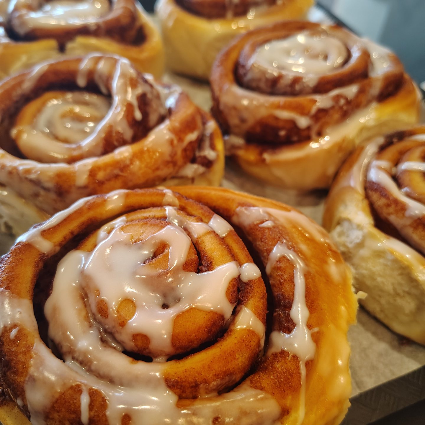 Iced cinnamon rolls fresh out of the oven